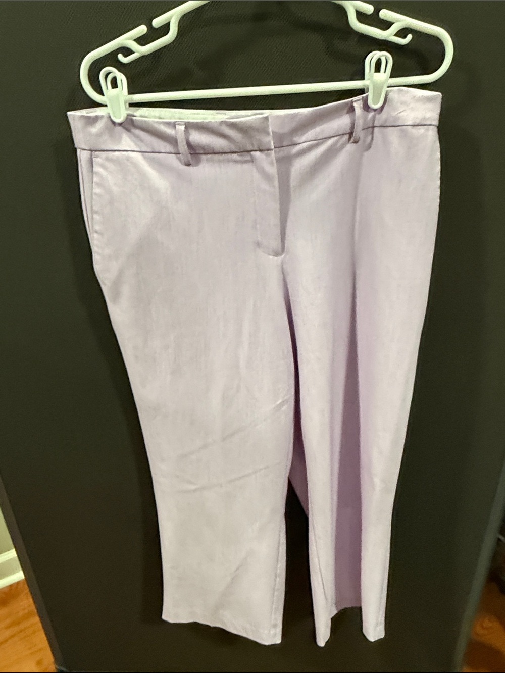 Rachel Zoe size 12 pants